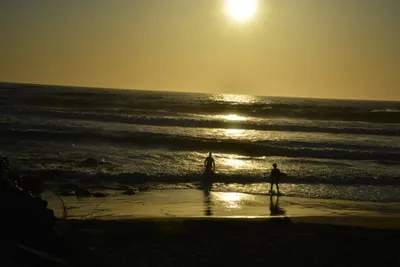 DSC_7285 (Large).JPG